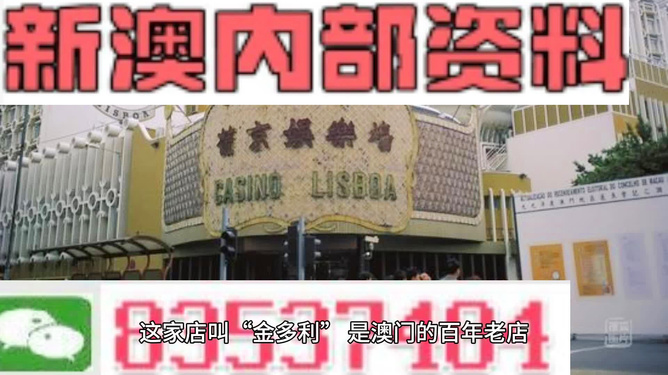新澳今天最新資料2025|細(xì)膩釋義解釋落實,新澳今日動態(tài)概覽與未來展望，2025藍(lán)圖下的細(xì)膩釋義與落實策略