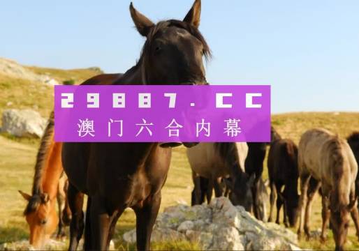 澳門管家婆一肖一碼一中一開|權(quán)變釋義解釋落實(shí),澳門管家婆一肖一碼一中三開，權(quán)變釋義、解釋與落實(shí)策略