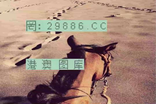 香港特馬資料王中王|純熟釋義解釋落實(shí),香港特馬資料王中王，純熟釋義、解釋與落實(shí)