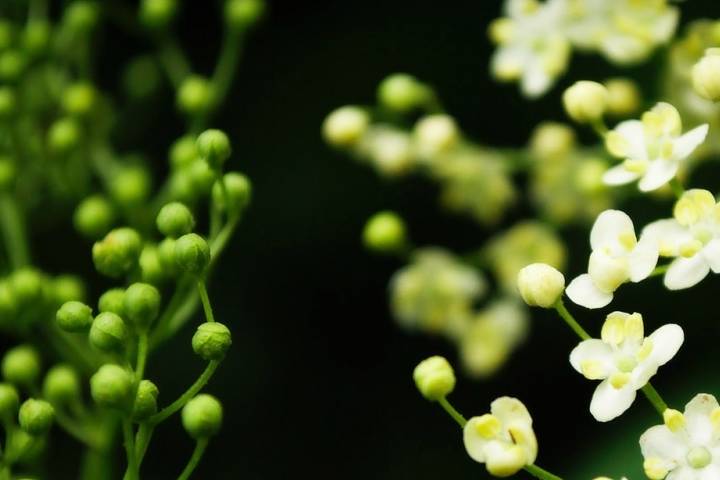 新奧門最新免費資料大全|典范釋義解釋落實,新澳門最新免費資料大全與典范釋義解釋落實的重要性