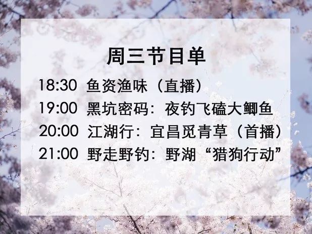 2025新版四不像今晚上映|見義釋義解釋落實,2025新版四不像今晚上映，深度解讀與期待