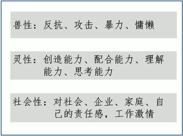 2025今晚澳門特馬開什么碼|習性釋義解釋落實,探索未知，解析澳門特馬游戲背后的秘密與習性釋義的落實