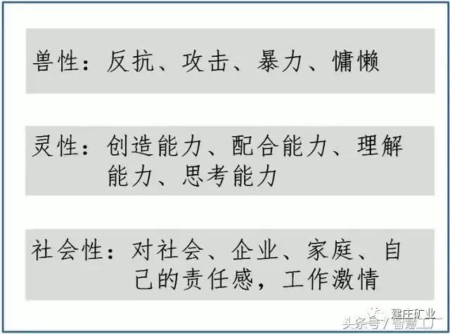 今晚澳門特馬開的什么|規(guī)避釋義解釋落實,今晚澳門特馬開出的神秘號碼，探索釋義、解釋與落實的重要性