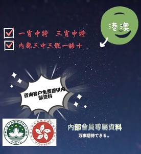 澳門王中王100%的資料三中三|交流釋義解釋落實(shí),澳門王中王100%的資料三中三，交流釋義解釋落實(shí)的重要性