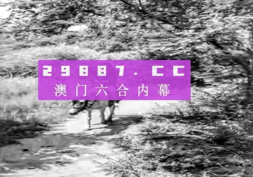 澳門王中王六碼新澳門|性實釋義解釋落實,澳門王中王六碼新澳門與性實釋義解釋落實