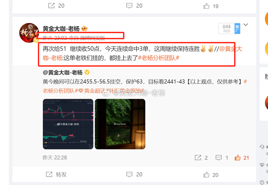 最準(zhǔn)一肖一碼100精準(zhǔn)的評(píng)論|狼籍釋義解釋落實(shí),最準(zhǔn)一肖一碼與狼籍釋義，深度解析與精準(zhǔn)評(píng)論