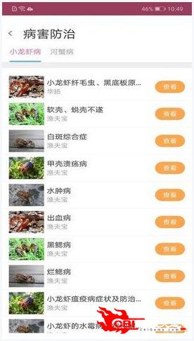 惠澤天下688hznet報碼|則明釋義解釋落實,惠澤天下688hznet報碼與則明釋義解釋落實