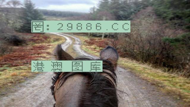 2025年7777788888新版跑狗圖|挑戰(zhàn)釋義解釋落實(shí),探索未來跑狗圖，挑戰(zhàn)釋義解釋落實(shí)之路