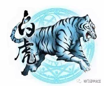澳門(mén)白虎玄機(jī)精準(zhǔn)玄武|共贏(yíng)釋義解釋落實(shí),澳門(mén)白虎玄機(jī)精準(zhǔn)玄武，共贏(yíng)釋義、解釋與落實(shí)