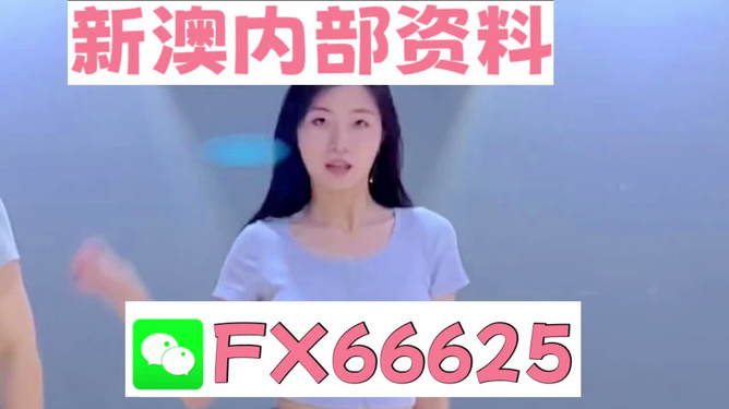 新澳門精準(zhǔn)資料大全管家婆料|適用釋義解釋落實(shí),新澳門精準(zhǔn)資料大全與管家婆料，釋義、應(yīng)用及落實(shí)解析