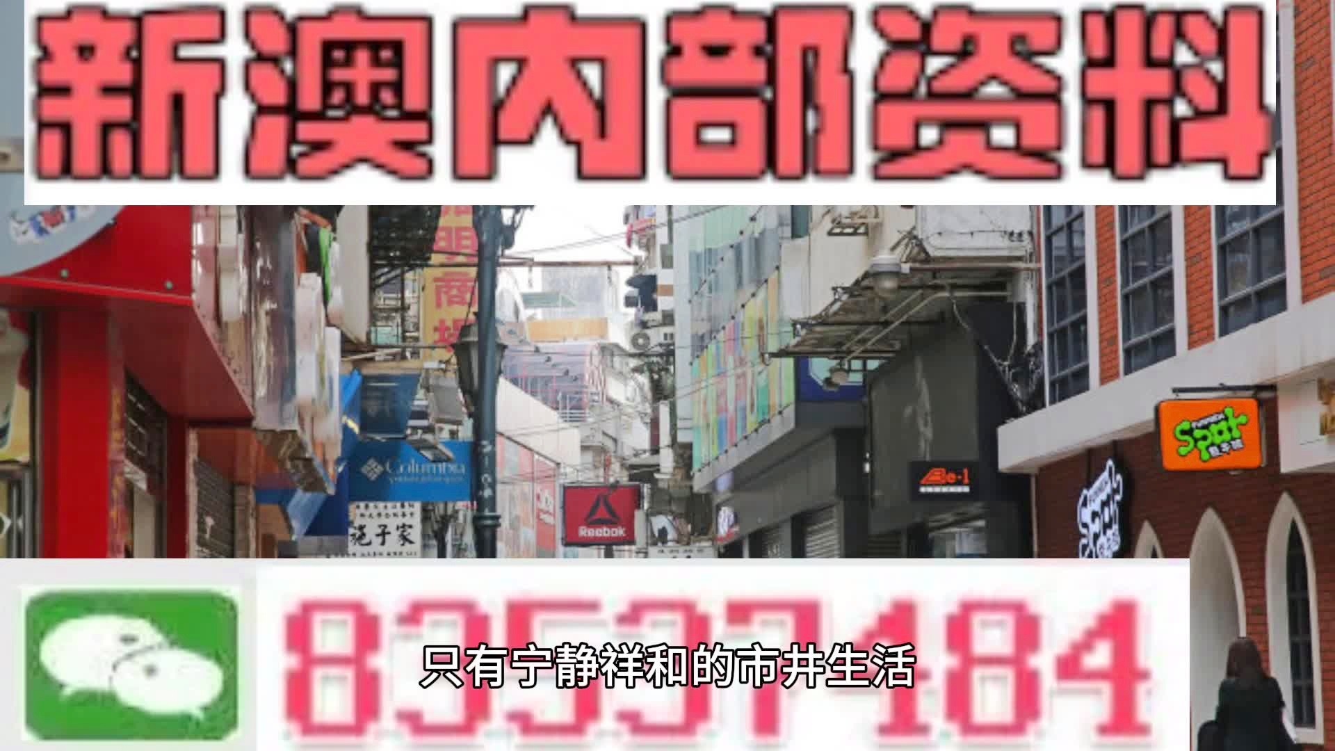 新澳門(mén)資料大全免費(fèi)|周全釋義解釋落實(shí),新澳門(mén)資料大全免費(fèi)，全面釋義、解釋與落實(shí)