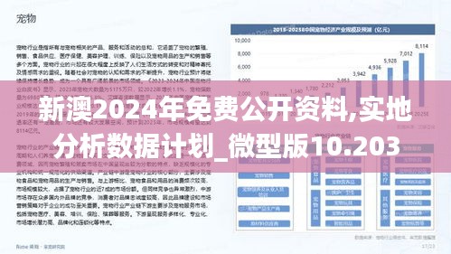 新澳2025年精準(zhǔn)資料期期|證實(shí)釋義解釋落實(shí),新澳2025年精準(zhǔn)資料期期，證實(shí)釋義解釋落實(shí)